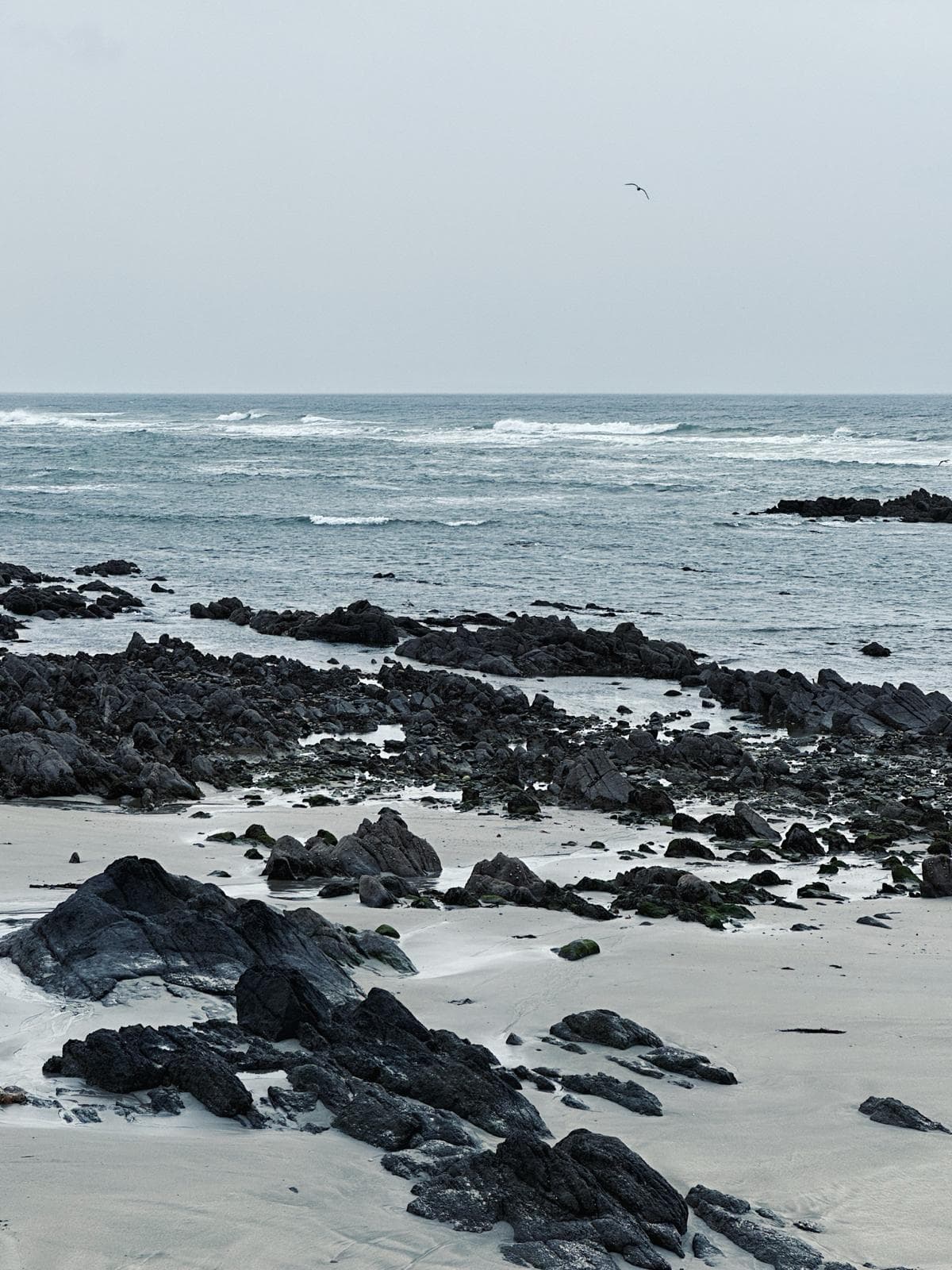 Photography 4